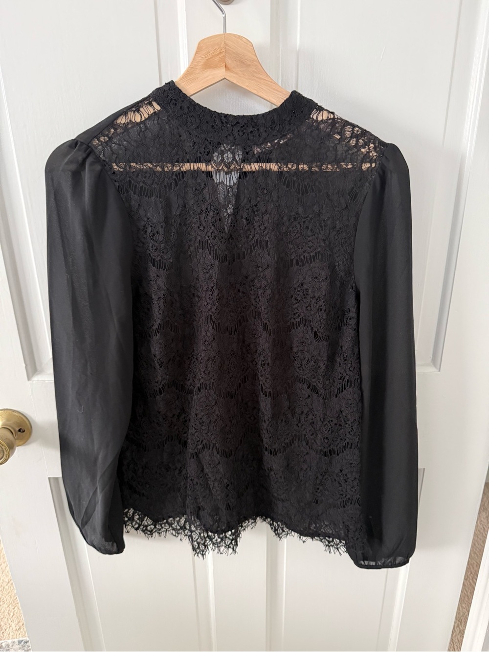 Forever 21 Black Lace Blouse with Sheer Long Sleeves